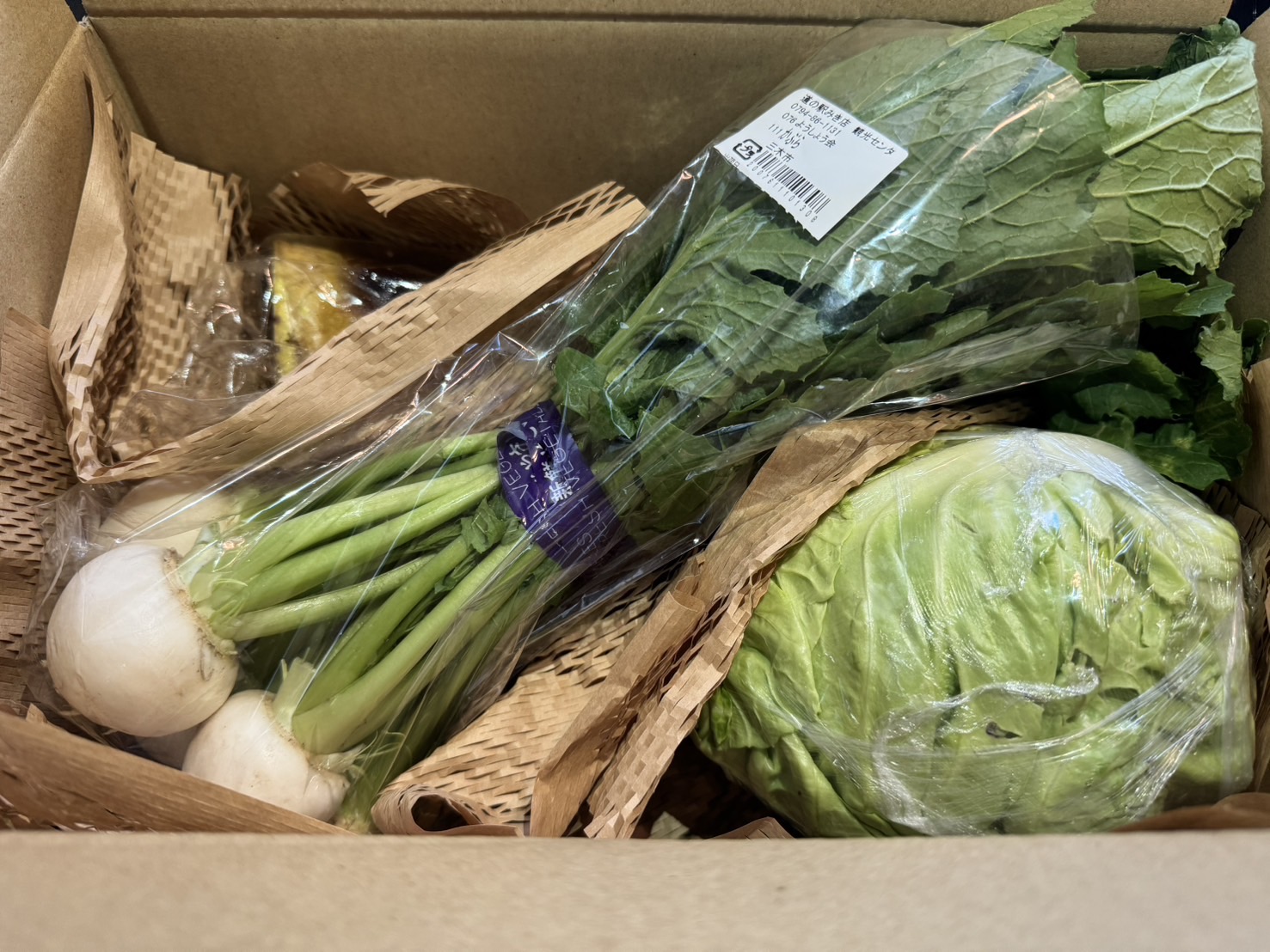 野菜セット