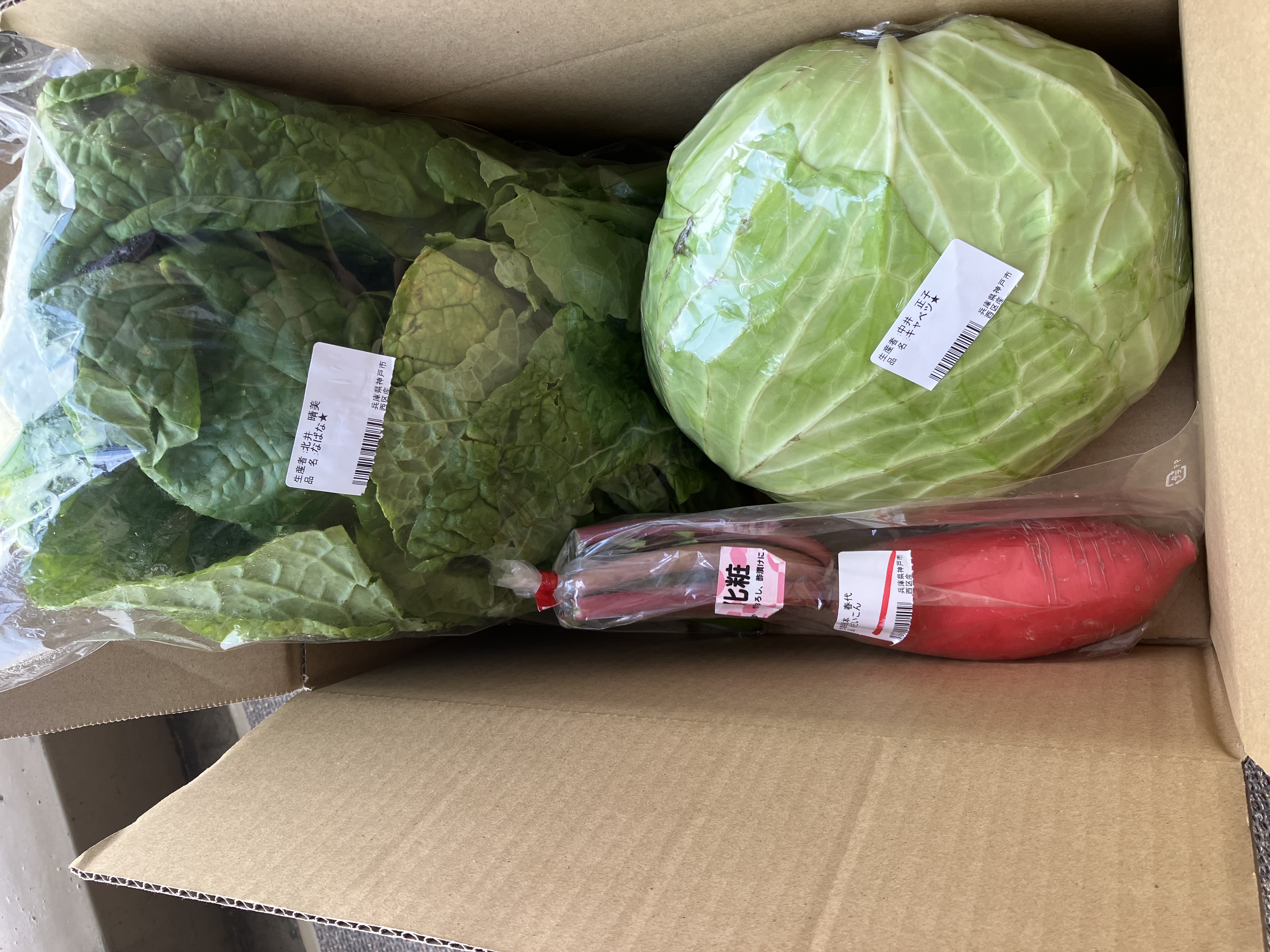野菜セット